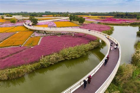  西山森林公園！緑豊かな避暑地で、壮大な自然を満喫しよう！